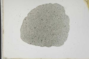 Plane Polarized, S13308