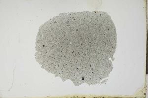 Plane Polarized, S13309