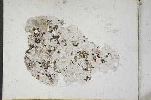Plane Polarized, S13312