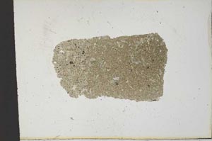 Plane Polarized, S13321
