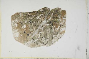 Plane Polarized, S13322