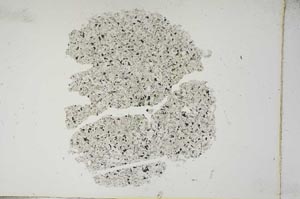 Plane Polarized, S13332