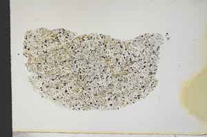 Plane Polarized, S13334