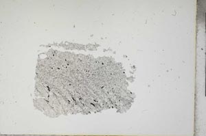 Plane Polarized, S13341