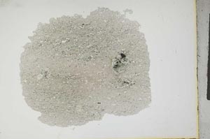 Plane Polarized, S13351