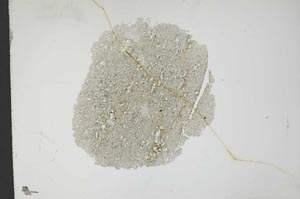 Plane Polarized, S13352