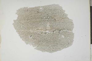 Plane Polarized, S13353
