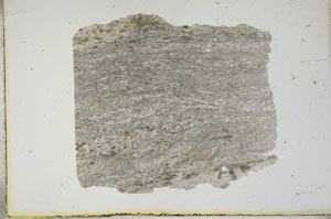 Plane Polarized, S13373