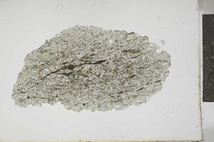 Plane Polarized, S13385