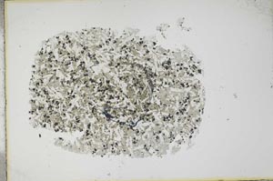 Plane Polarized, S13390