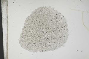 Plane Polarized, S13398