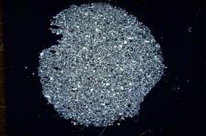 Cross Polarized, S13399