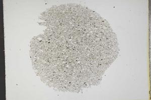 Plane Polarized, S13399