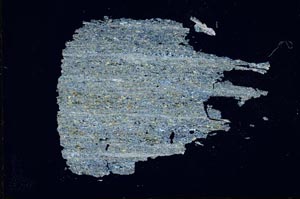 Cross Polarized, S13452