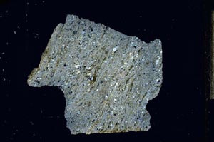 Cross Polarized, S13453