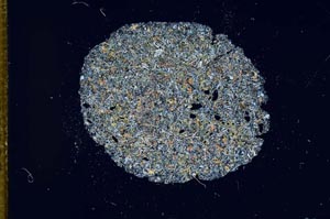 Cross Polarized, S13488/A