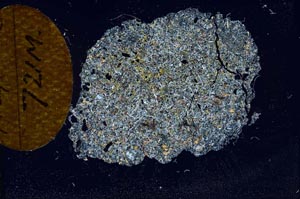 Cross Polarized, S13488/B