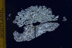 Cross Polarized, S13489