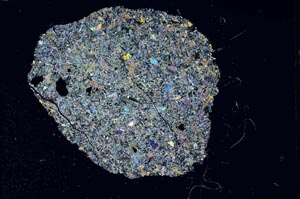 Cross Polarized, S13490