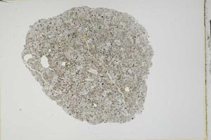 Plane Polarized, S13490