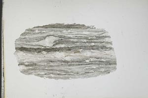 Plane Polarized, S13491