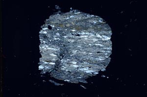 Cross Polarized, S13492