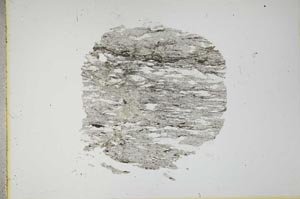 Plane Polarized, S13492