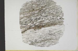 Plane Polarized, S13499