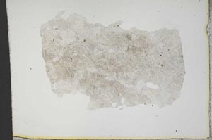 Plane Polarized, S13500