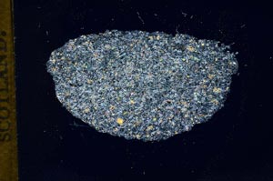 Cross Polarized, S13577