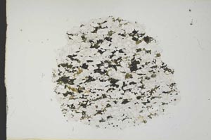Plane Polarized, S13594
