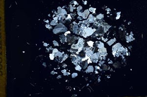 Cross Polarized, S13609