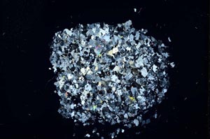 Cross Polarized, S13610