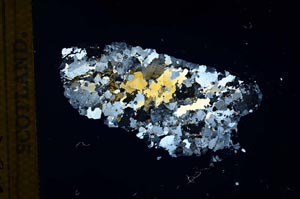 Cross Polarized, S13611