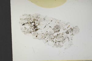 Plane Polarized, S13611