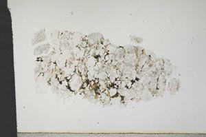 Plane Polarized, S13612