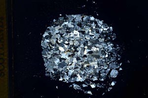 Cross Polarized, S13613