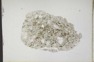 Plane Polarized, S13620