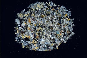 Cross Polarized, S13621