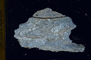 Cross Polarized, S13646