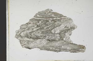 Plane Polarized, S13646