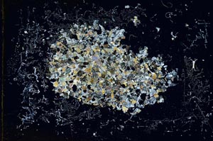 Cross Polarized, S13662