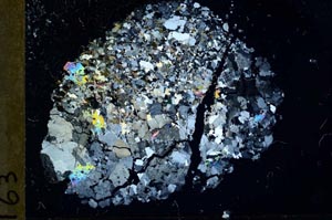 Cross Polarized, S13665