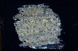 Cross Polarized, S13666