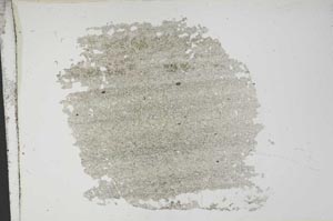 Plane Polarized, S13666