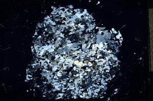 Cross Polarized, S13667