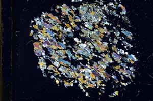 Cross Polarized, S13668