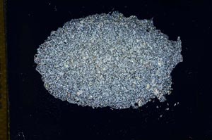 Cross Polarized, S13669