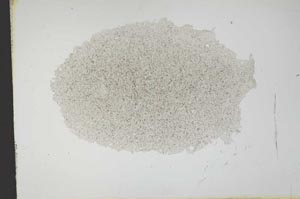 Plane Polarized, S13669