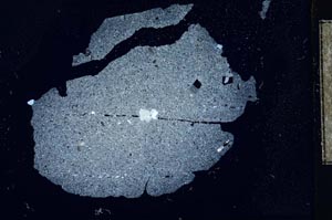 Cross Polarized, S13670